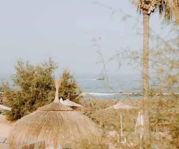 Acogedor Adosado Con Piscina 팔름-마르